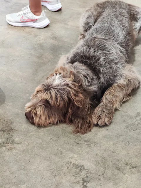 GALLERY SADE LOS ANGELES