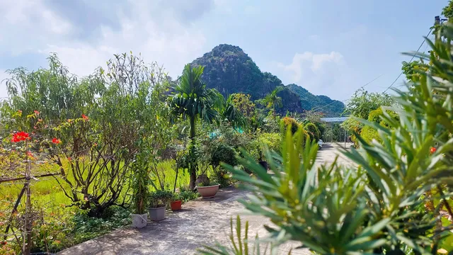 Ninh Binh Green Farmstay