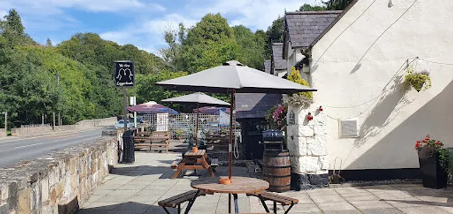 We Three Loggerheads