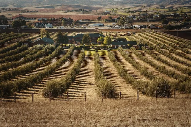 The Purple Orchid | Wine Country Resort & Spa