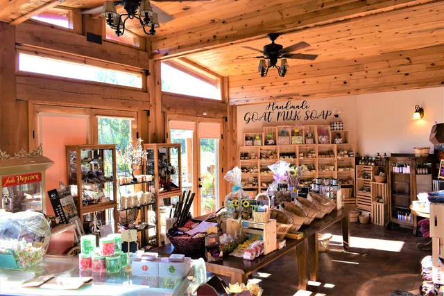 Blue Mule Cafe and Bakery