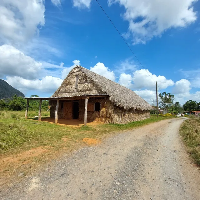 Benito’s Tabacco Farm
