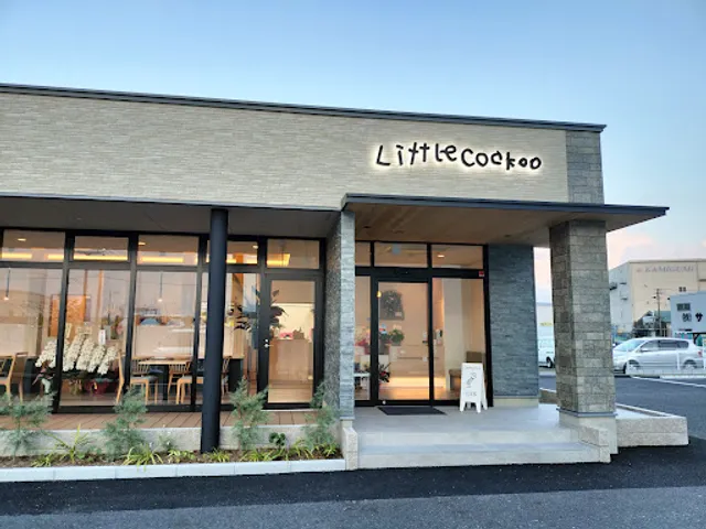 Little Cockoo Oguchi