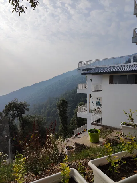 Meraki Creative Residency