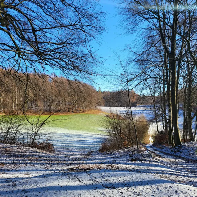 osternohe mountain bike