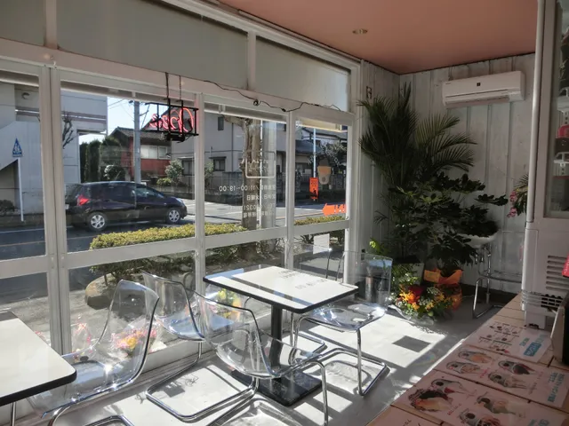 SaicheZ FROZEN YOGURT