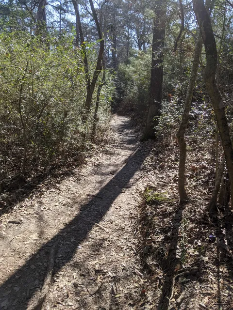 Memorial Park Hike and Bike Trailhead
