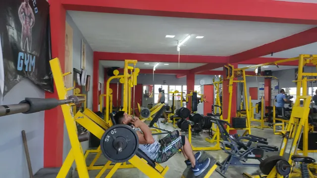 GYM Mr. México