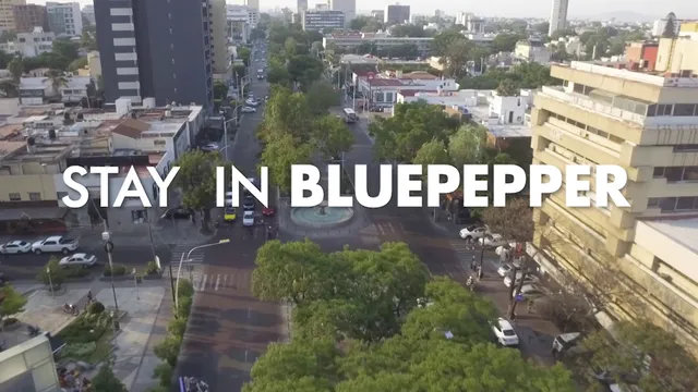 Blue Pepper Hostel & Bar