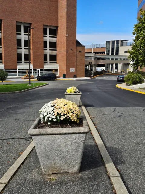 Berkshire Medical Center