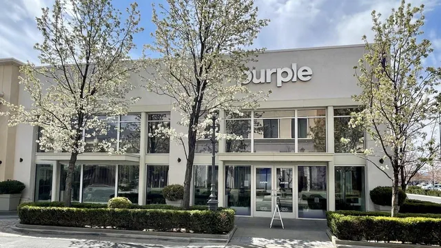 Purple - Station Park