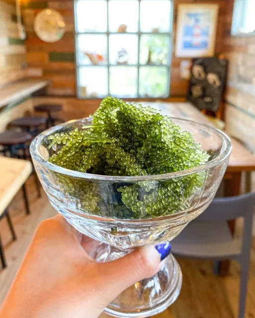 海ぶどう農園 海ん道