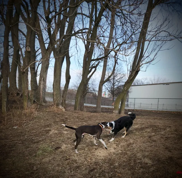 Prickett Marina Park