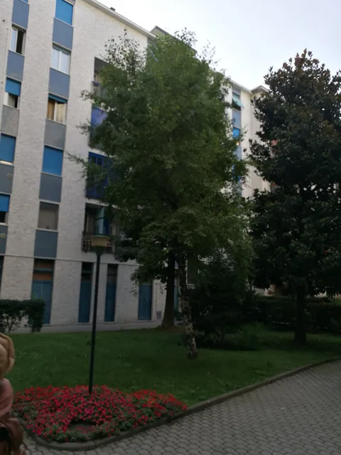 Cozy And Peaceful Brand New Flat