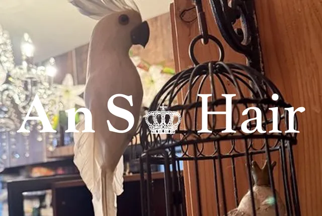 AnS Hair Salon