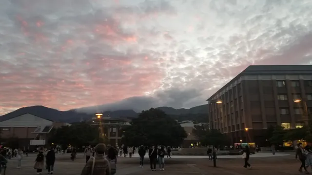 Ritsumeikan APU Academic Office