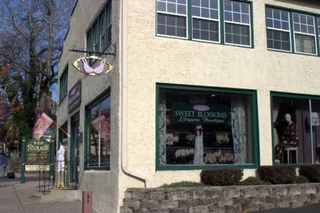 Sweet Blossoms Lingerie Boutique