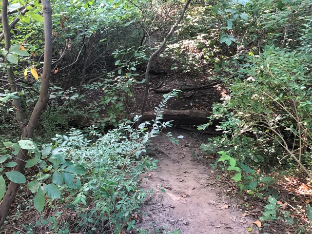 Scenic Overlook (Access from Northbound I-295)
