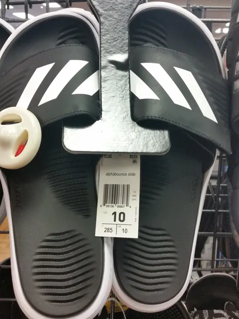 Big 5 Sporting Goods