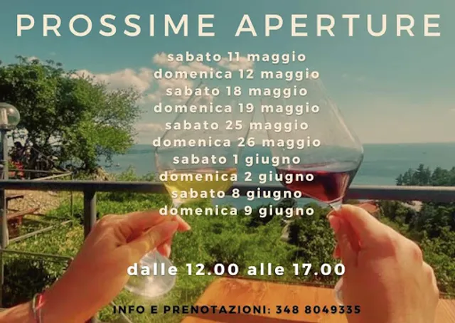 Azienda agricola Verginella