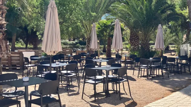 LA PALMERA BAR AND GRILL