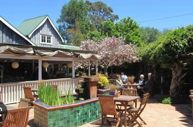 Cafe Nectar at Katya Maker