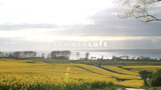 Ferienwohnungen Sommerloft - Rerik