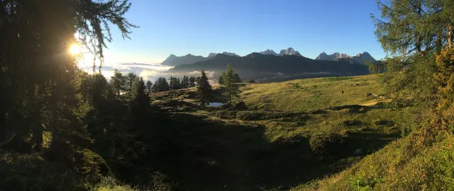 Peintnerhof - Familie Unterguggenberger & Lexer