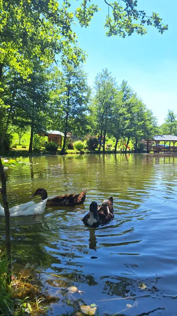 Ranč za odmor i dušu Šiljkovača