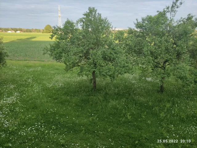 Appartementhaus Panny