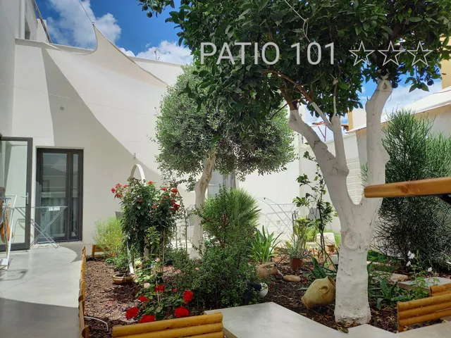 PATIO 101