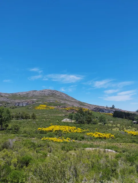 Departamento Sierras Pampas