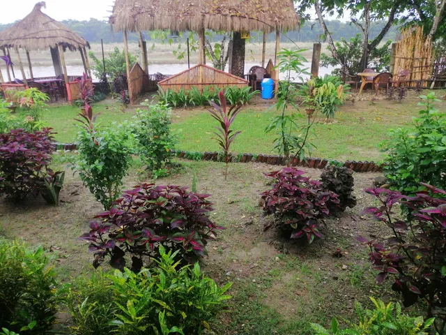 Crocodile View Camp Hotel