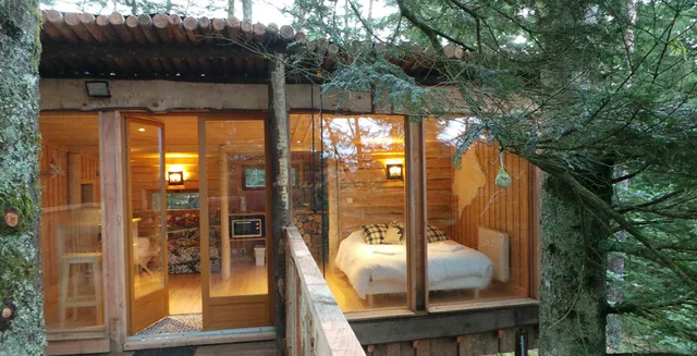 Cabanes dans les arbres Nids des Vosges