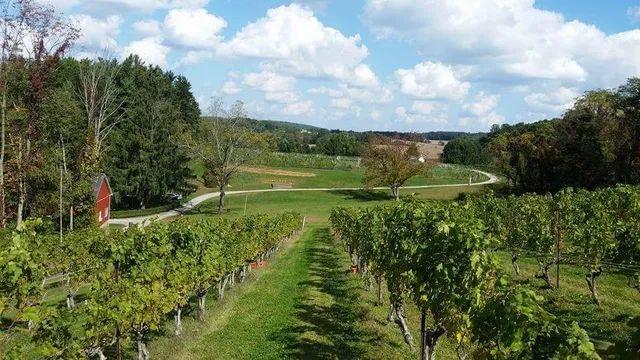 Balla Cloiche Vineyards