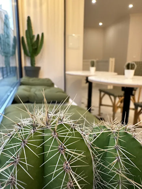 Cactus - Coffee, Lunch & Brunch - Paris 17