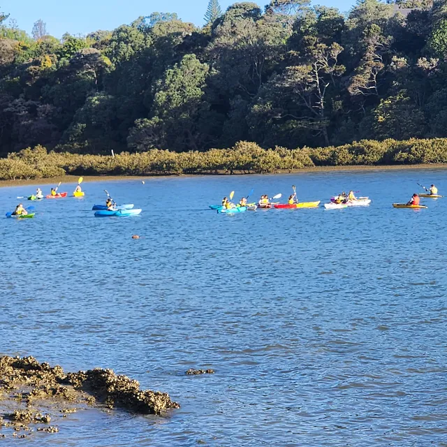 Beach Haven Scout Group
