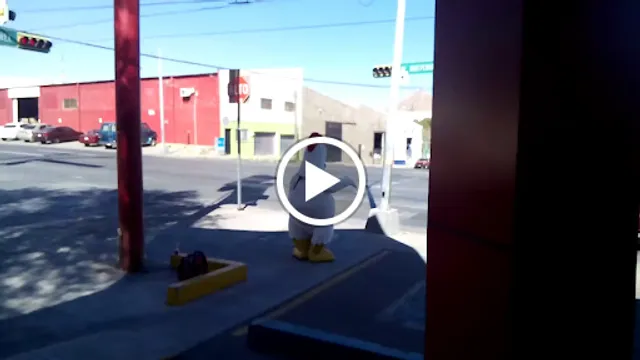 Pollo Feliz Independencia