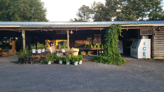 Ringo's Produce Plants and Boiled Peanuts