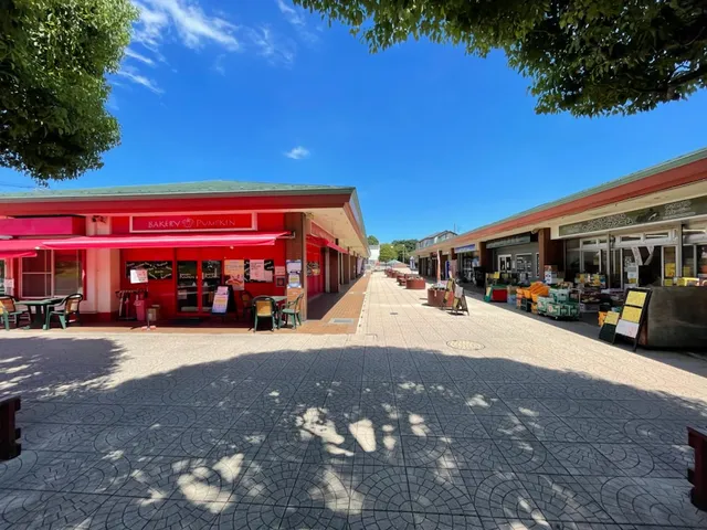 かわつる商店街 川鶴ショッピングプラザ（１）