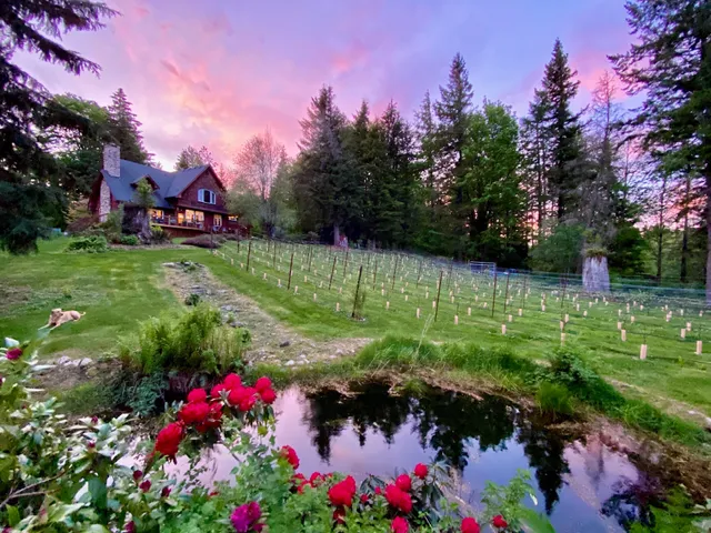 Chateau NoElle Vineyards & Winery