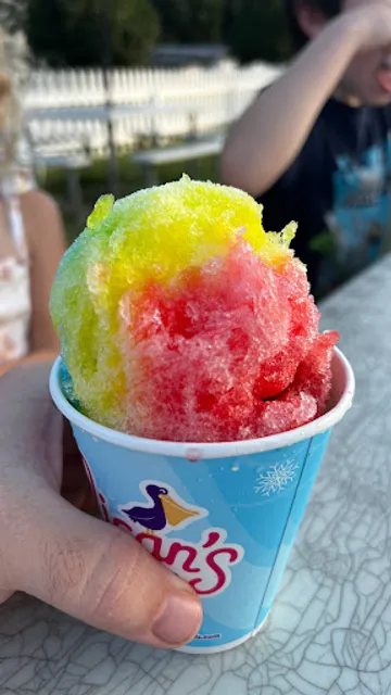 Pelican's SnoBalls