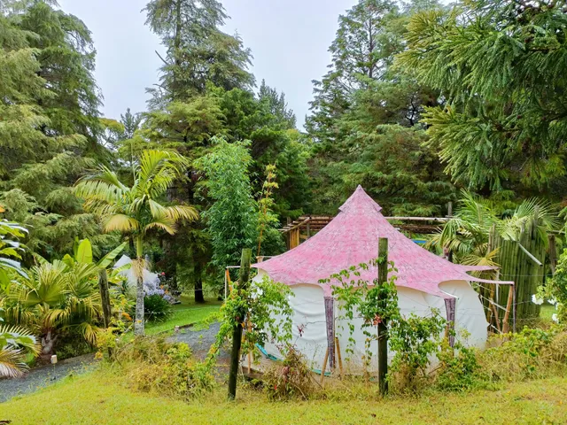 Kerikeri Glamping