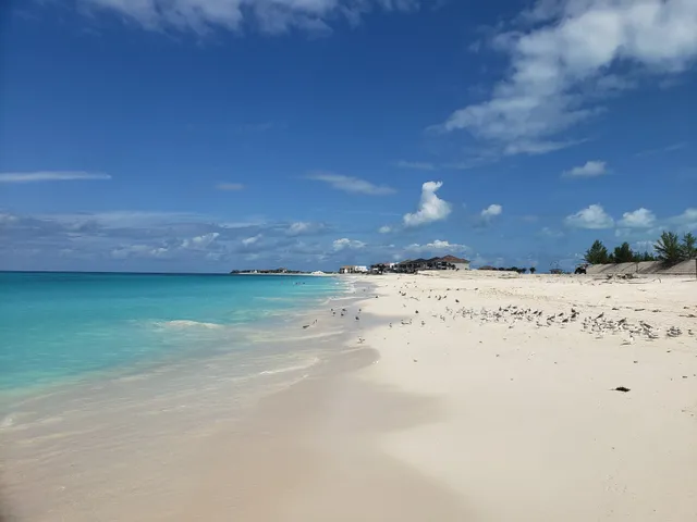Bimini's White & Blue beach