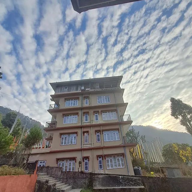 Crassula Blue Moon Resort