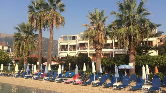 Palm Trees Hotel