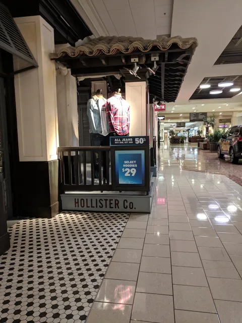 Hollister Co.