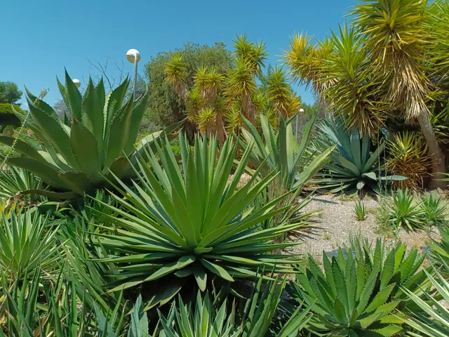 Parc de Pablo Iglesias