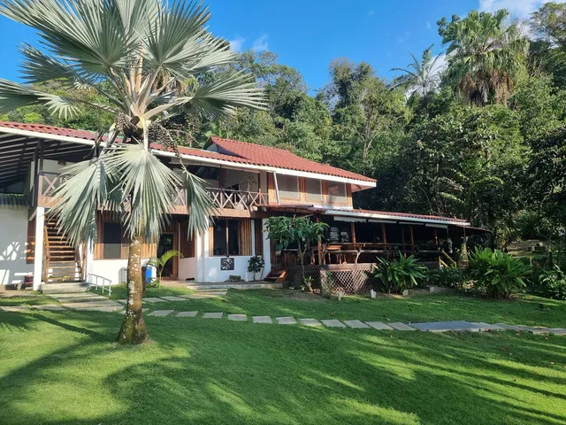 The Jaguar's Jungle Lodge