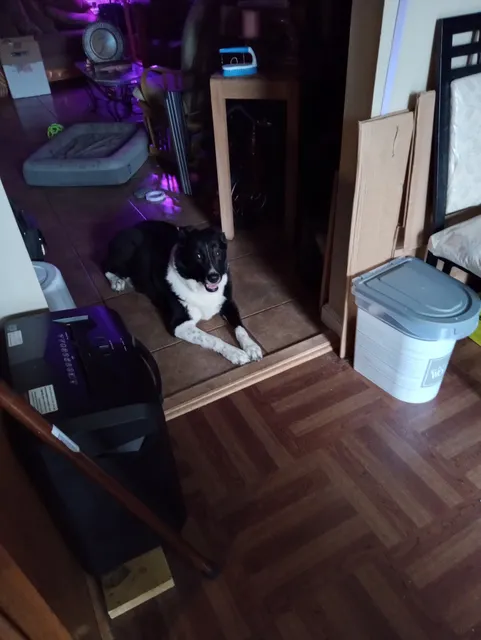 Baptist Memorial Hospital-DeSoto Emergency Department